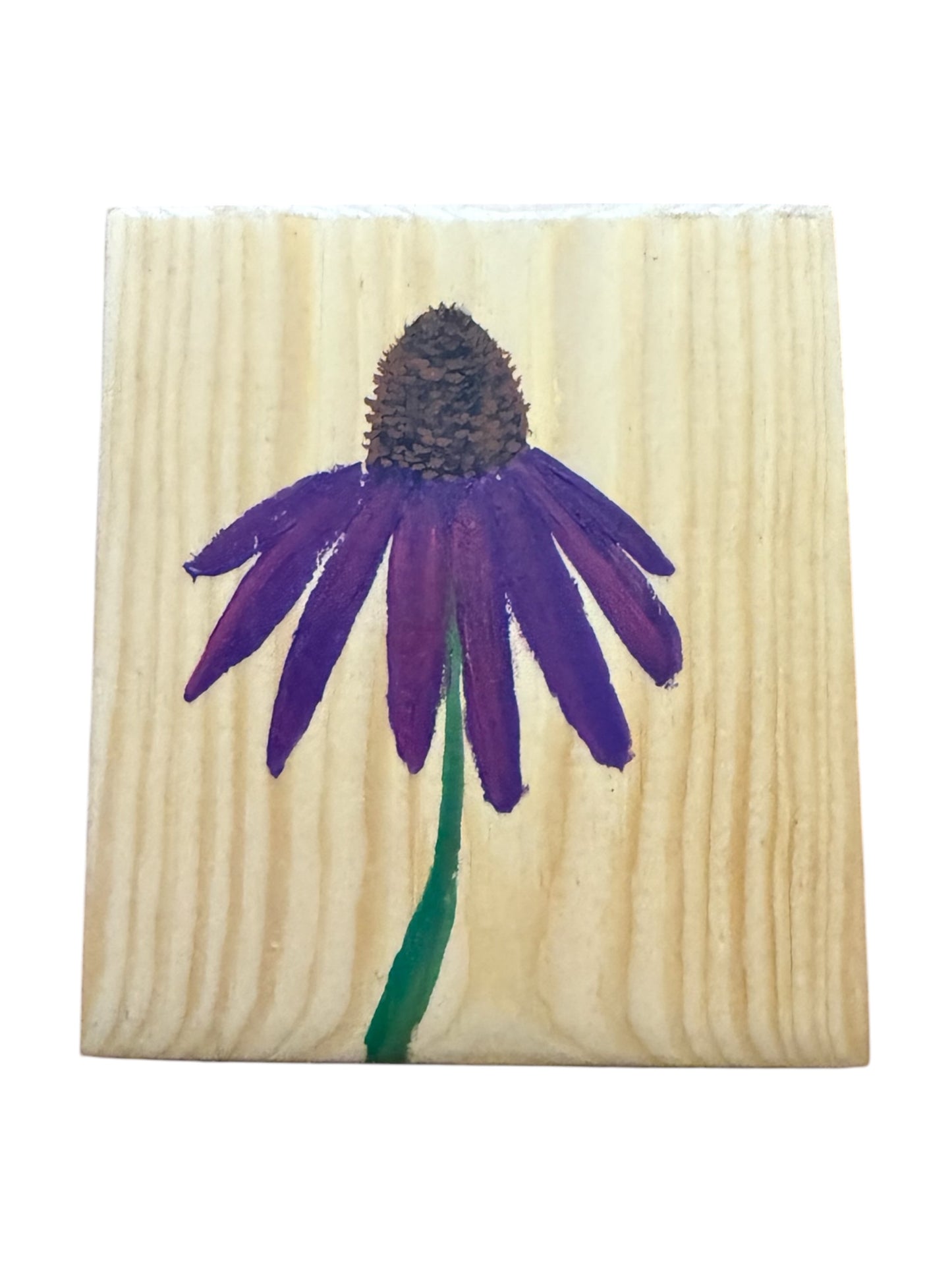 Echinacea Flower